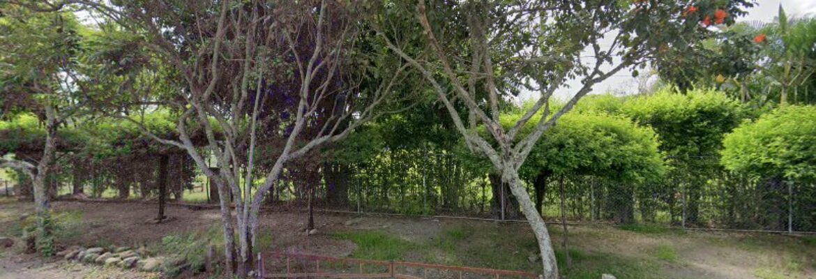 Consultorio de Odontología en TULUA – Dra. Ingrid Sanchez – TULUA